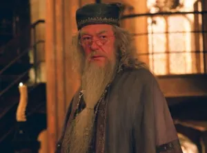 Actor de Harry Potter deja las pantallas