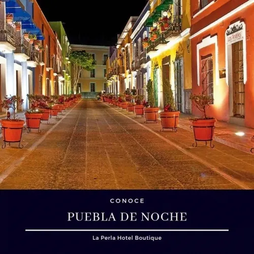 Hotel La Perla construye alberca en terraza del Centro Histórico