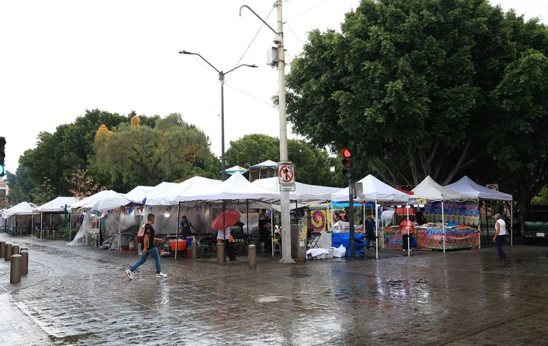 feria-del-carmen