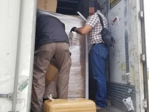 Decomisan 2.6 toneladas de mariguana en Tijuana