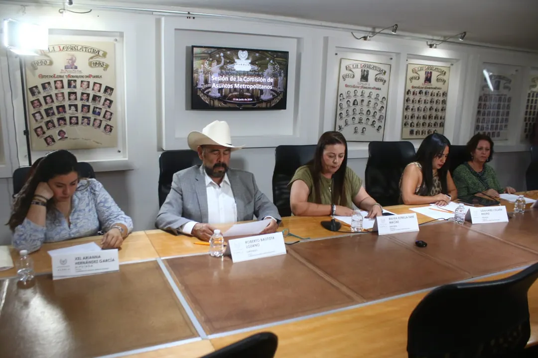 Comisión de Asuntos Metropolitanos
