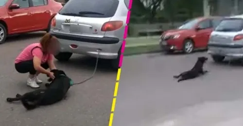 Mujer encadena a su perro al auto y lo arrastra varios metros por el pavimento