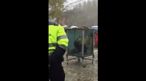 Escapista casi muere durante hazaña (VIDEO)