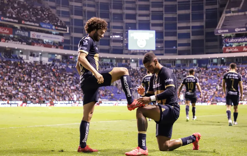 Pumas de la UNAM