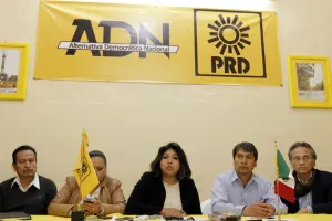 Cerrar filas para frenar imposiciones en PRD, pide Roxana Luna?