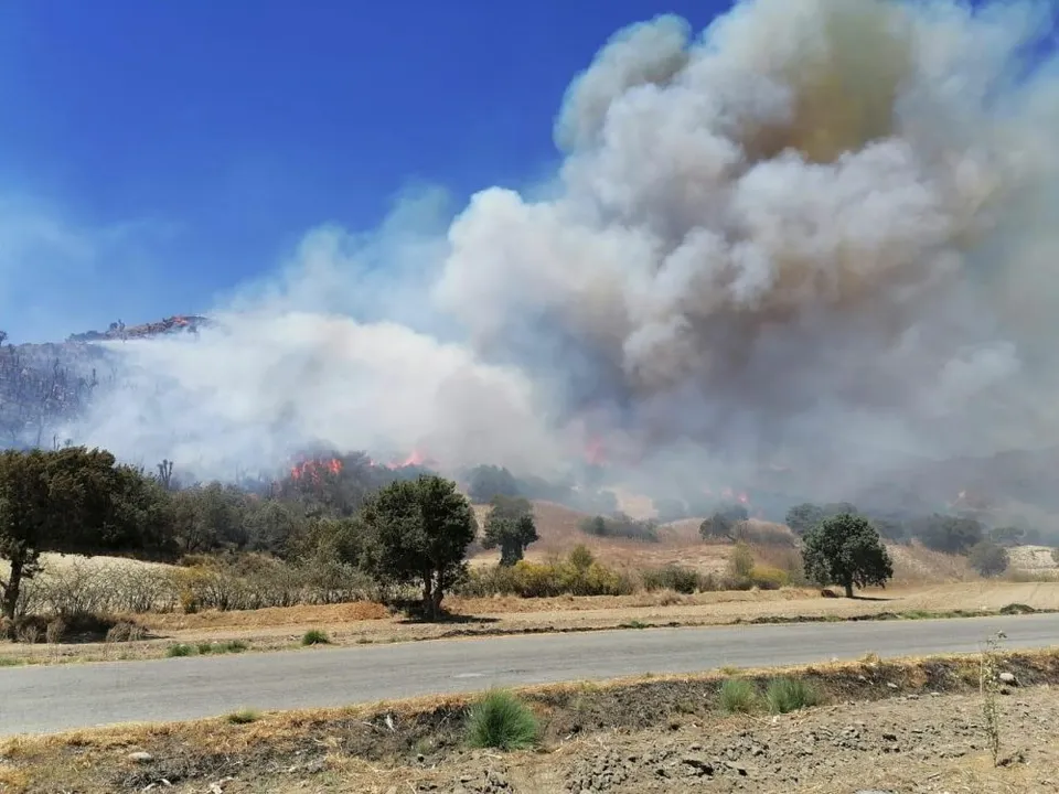 Incendio azota zona de Tehuatzingo, Libres