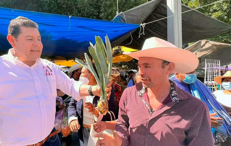 alejandro-armenta-tepexi-plantas-maguey