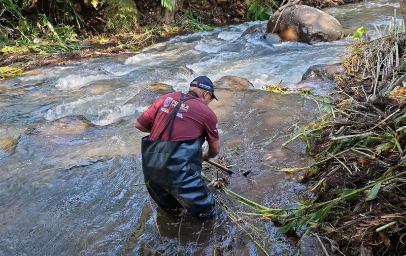 Gobierno de Puebla refuerza labores de búsqueda de desaparecidos en Sierra Norte