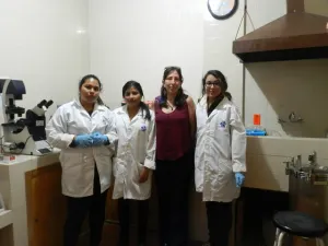 Fotodinámica, luz y color para combatir enfermedades