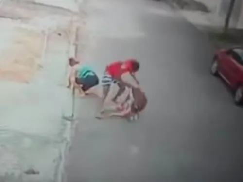 Perro pitbull ataca brutalmente a niño; así lo rescataron