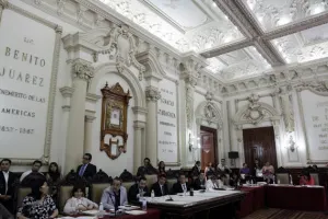 Habitantes piden al Cabildo frenar tala en Viveros de Santa Cruz