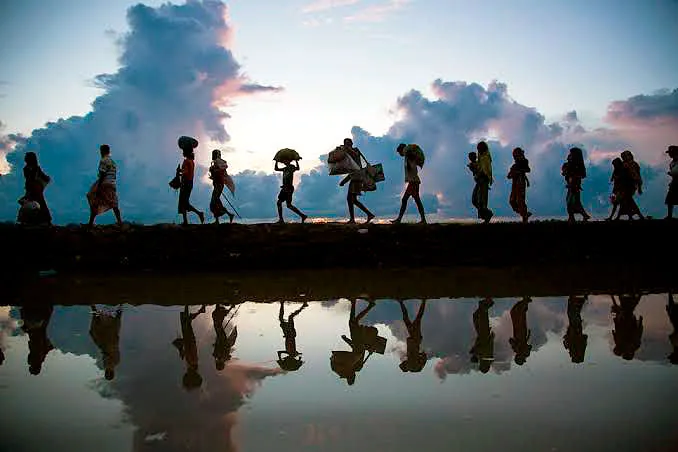 Migrantes Fenómenos