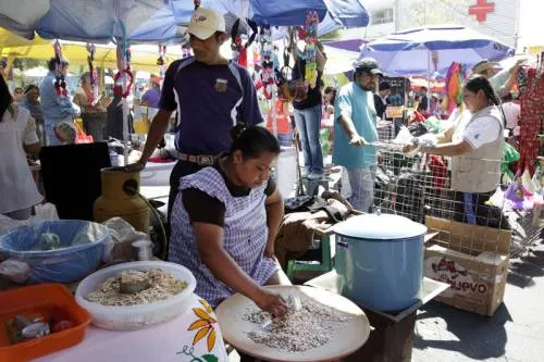 Acusan ambulantes inexperiencia de Segom para otorgar permisos en el Calvario
