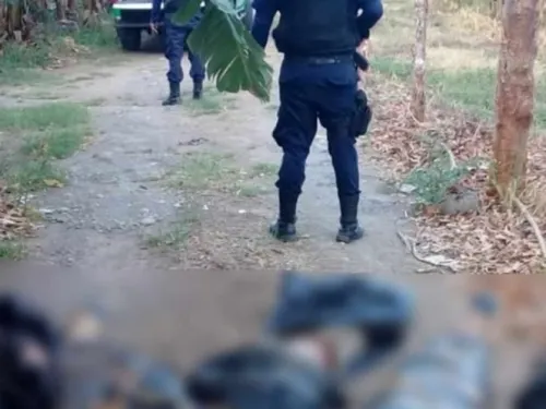 Hallan nueve cuerpos embolsados en Veracruz