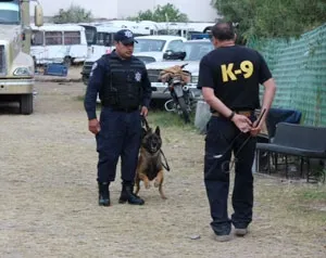 Unidad canina realizará operativos en transporte público