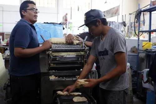 No hay razón para que se registre un incremento en el precio de la tortilla: Profeco