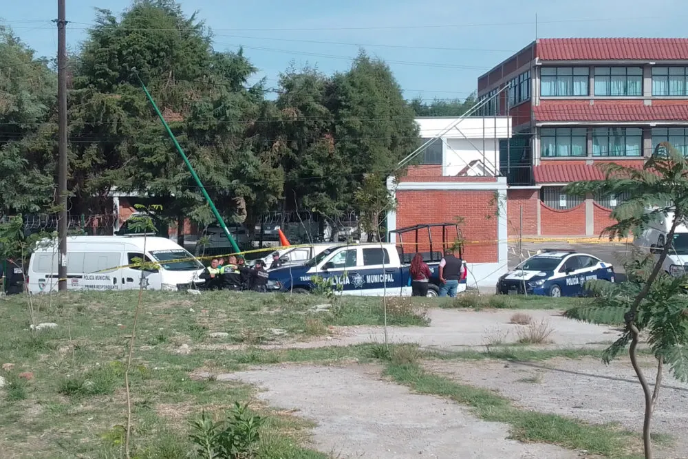 Colegio Camino Real