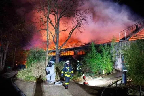 Incendio en zoológico de Alemania acaba con la vida de 30 simios