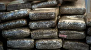 PGR asegura más de 100 kilo de marihuana en Chihuahua y Sonora