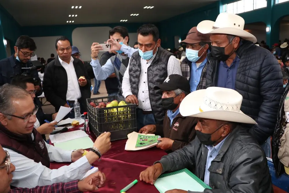 Tras petición en “Martes Ciudadano”, impulsará SDR producción de manzana en Lafragua