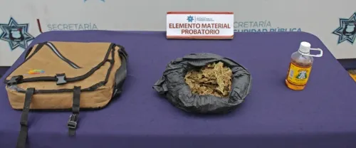 Detuvo SSPTM de Puebla a probable asaltante de estudiantes universitarios