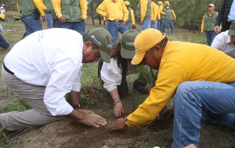 Favorece Gobierno de Sergio Salomón al medio ambiente y desarrollo integral de jóvenes