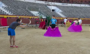 Planea diputada prohibir entrada de menores a corridas de toros