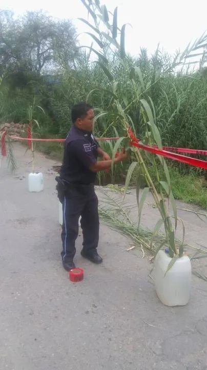 Vialidad estatal actúa ante deslave en carretera Tehuacán-Teotitlán