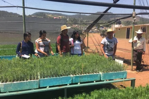 Gestión Territorial e Identidad Biocultural, una licenciatura innovadora y pertinente: BUAP