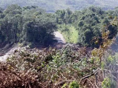 Suman 7 muertos y 150 desaparecidos tras colapso de dique en Brasil