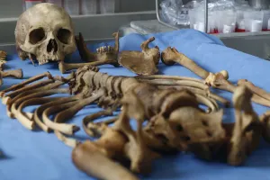 El 80 por ciento de los desaparecidos fueron asesinados: Semefo