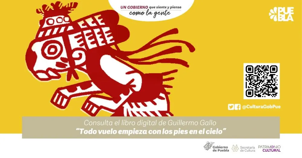Libro voladores