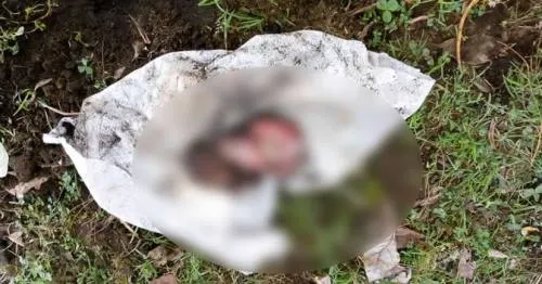 Hallan feto semi enterrado en terreno de Teziutlán
