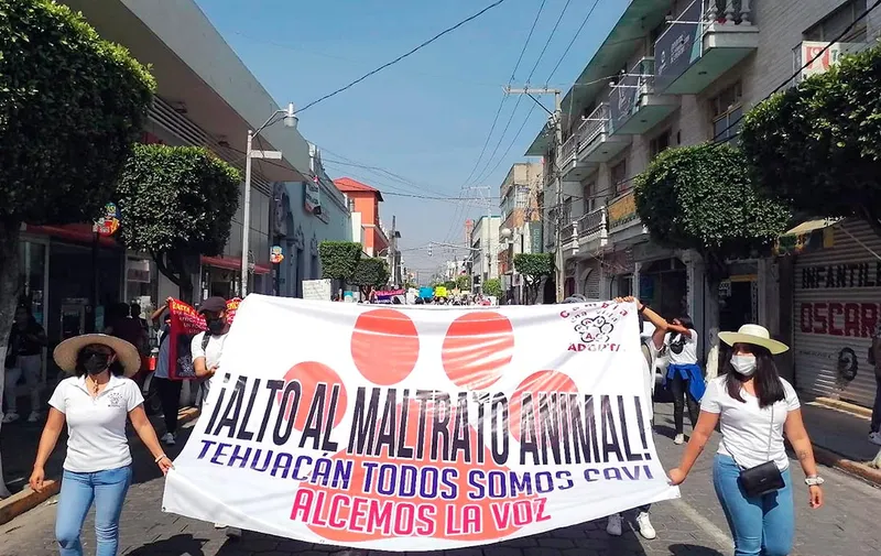 maltrato-animal-tehuacan