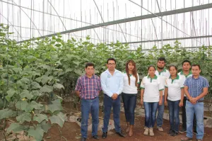 Alumnos UTTECAM desarrollan Proyecto de Pepino bajo Invernadero