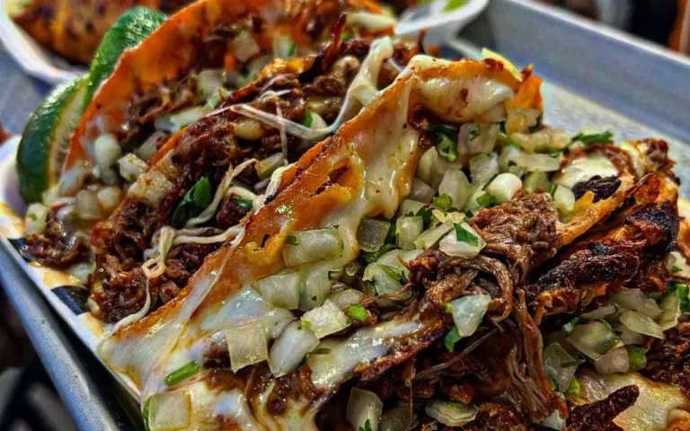 Birria De Jalisco Quesabirrias