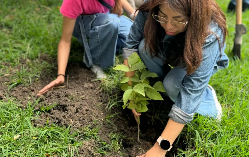 Continúa la reforestación en Puebla con “Sembremos Esperanza"