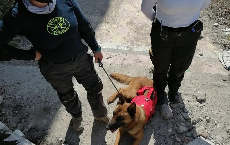 Imagen del artículo
