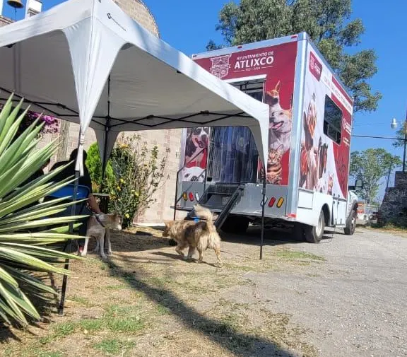 atlixco-jornada-esterilizacion-mascotas