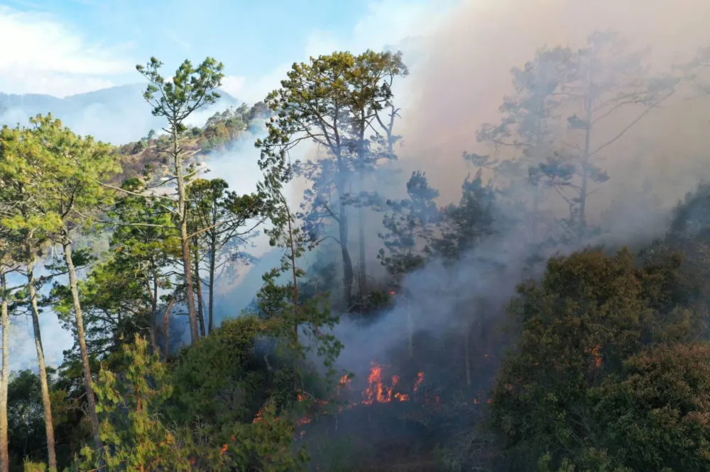 incendio Zacatlán