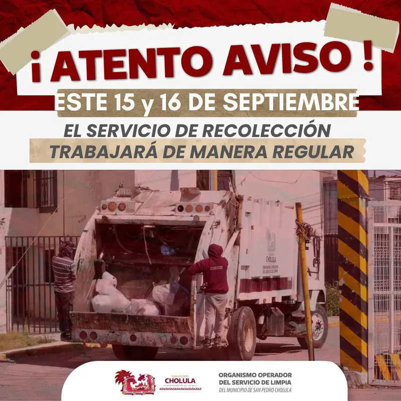 Imagen del artículo
