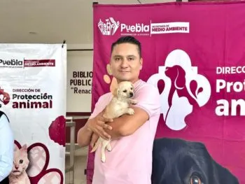 Prioriza Gobierno de la Ciudad acciones en favor del bienestar animal