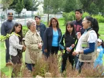 Celebra el Jardín Botánico Universitario el Día del Árbol