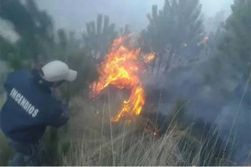 Controlan 75% del incendio en Zacatlán, prevén que mañana esté sofocado