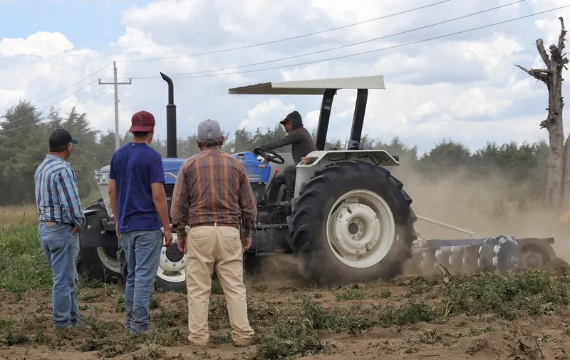 gob-pue-obras-red-carretera-campo