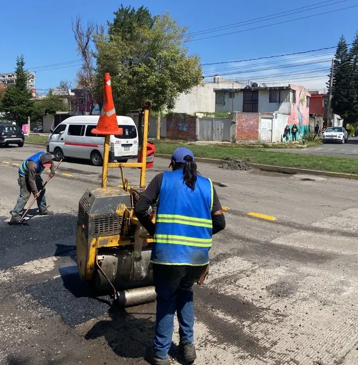 Bacheo