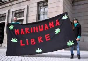 ONU reclama a Uruguay por ley que regula consumo de marihuana