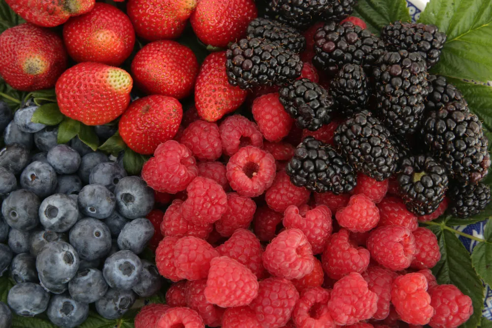 Berries 2023