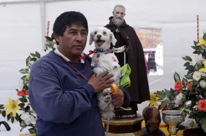 Poblanos acuden a bendecir a sus mascotas