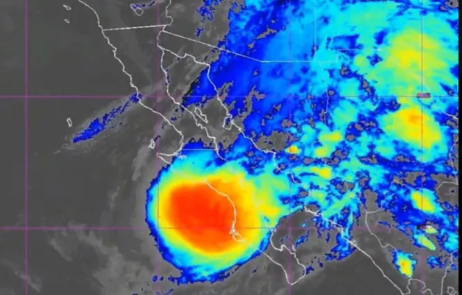Huracán Polo toca tierra en Baja California Sur y deja saldo blanco; 700 personas fueron evacuadas